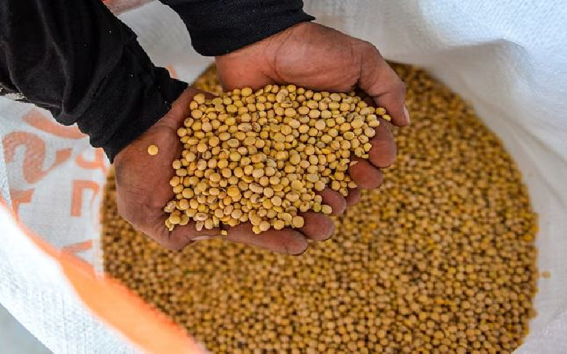 Harga Kedelai Mendekati Rp 12.000 per Kg, Bapanas Siapkan Rp100 Miliar