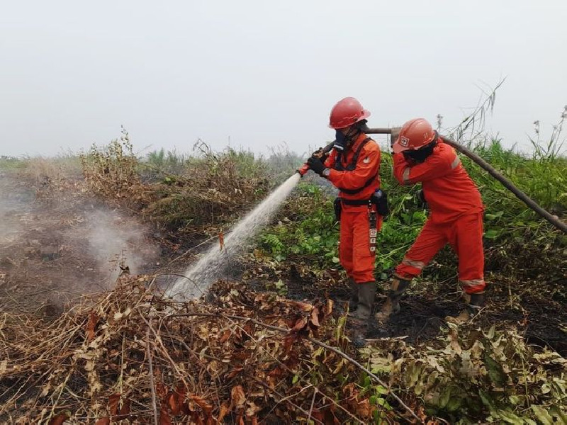 372 Hotspot Karhutla Terdeteksi, Kalteng dan Sumsel Jadi Perhatian